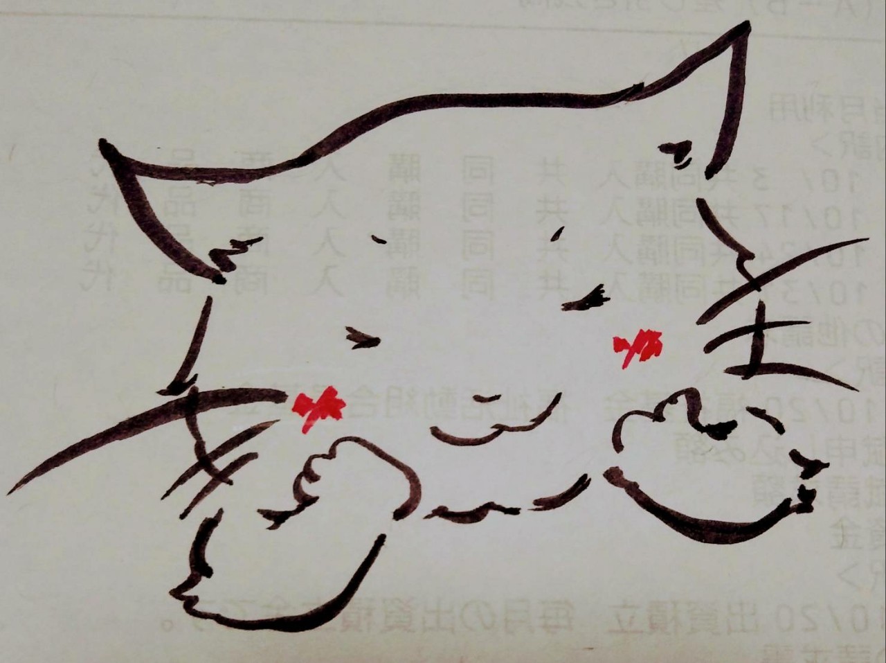 猫